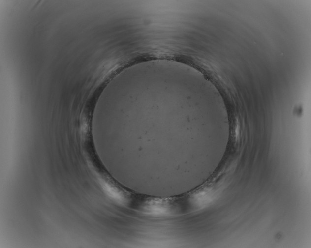 X0000094440084200711081258