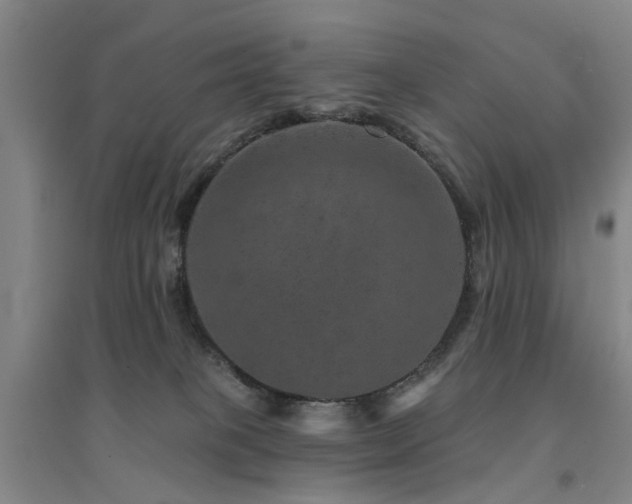 X0000094440085200711081258