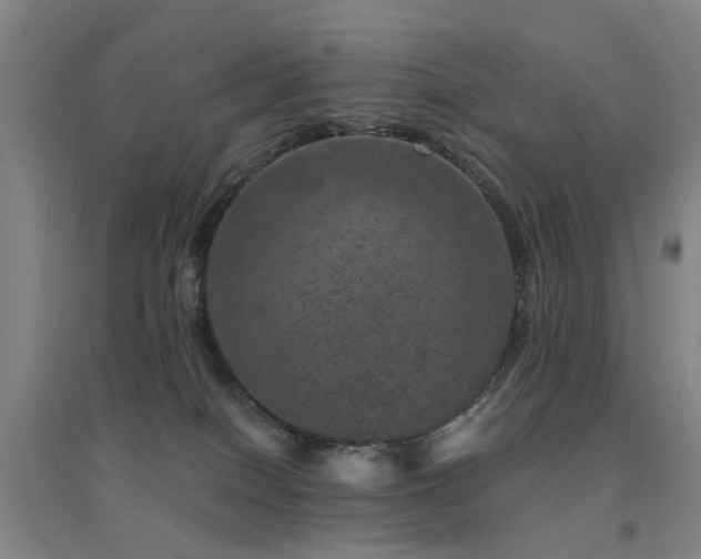 X0000094440086200711081258