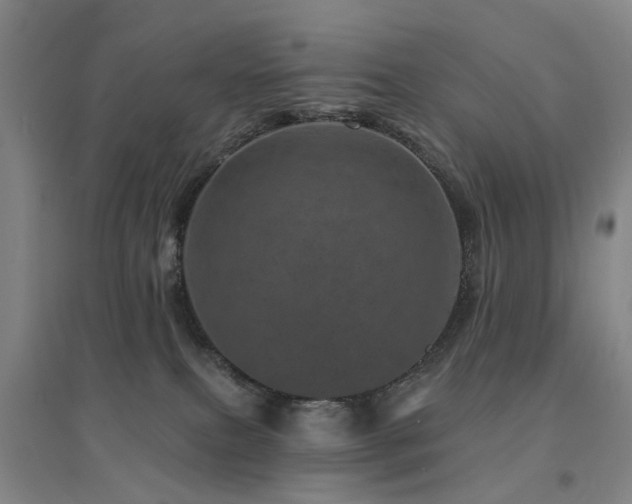 X0000094440087200711081258
