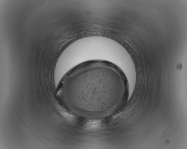 X0000094440088200711081258