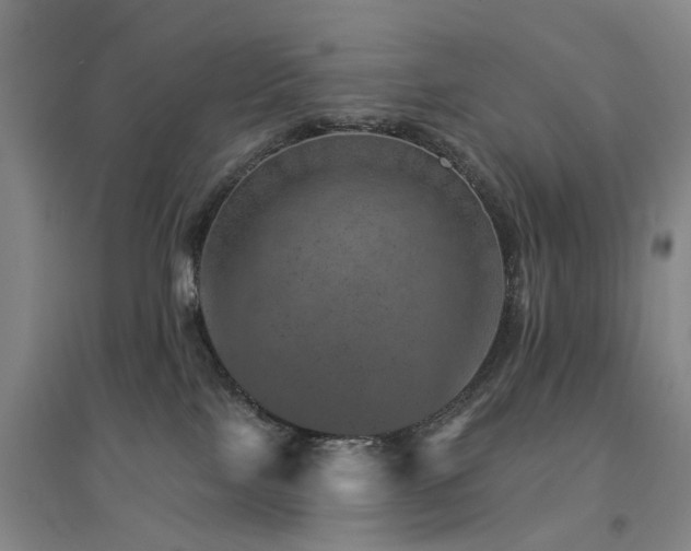X0000094440089200711081258
