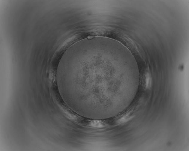 X0000094440091200711081258