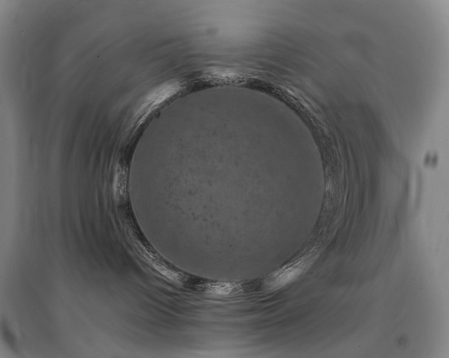 X0000094440096200711081258