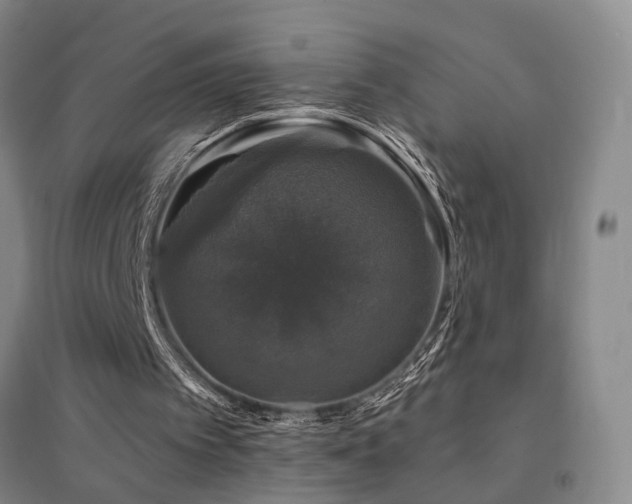 X0000094440097200711081258