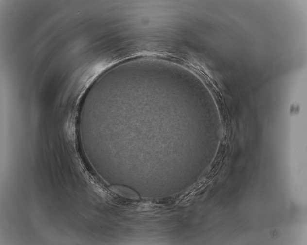 X0000094440098200711081258