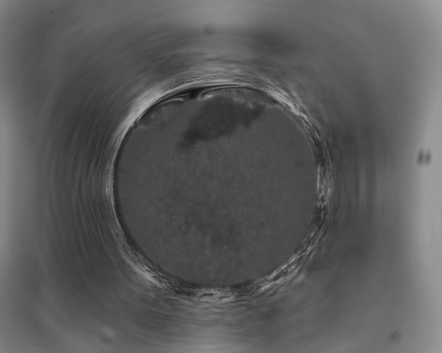 X0000094440099200711081258
