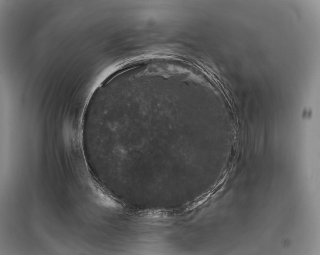 X0000094440100200711081258