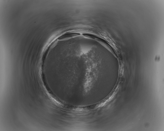 X0000094440101200711081257