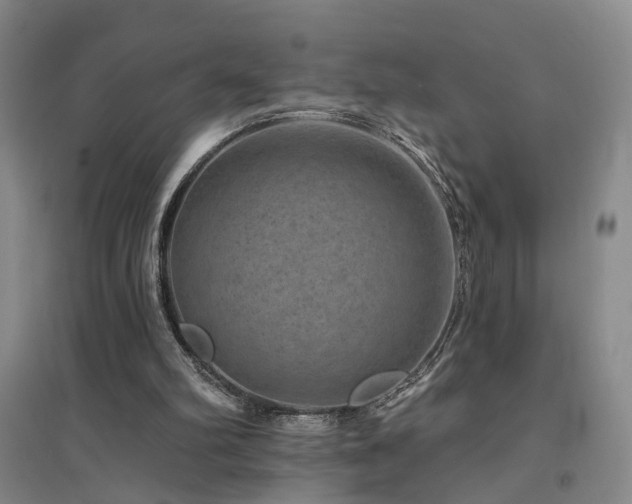 X0000094440102200711081257