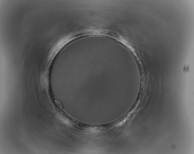 X0000094440103200711081257