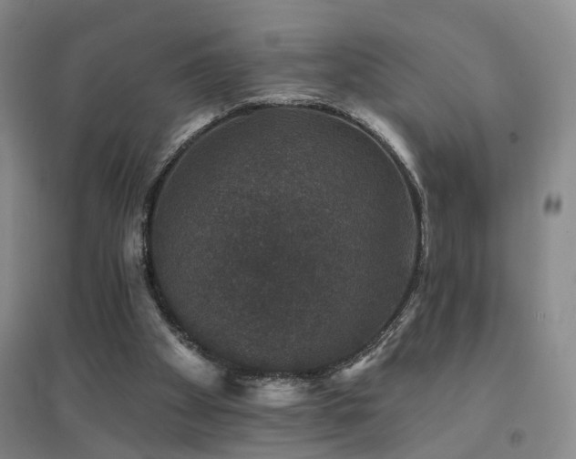 X0000094440105200711081257