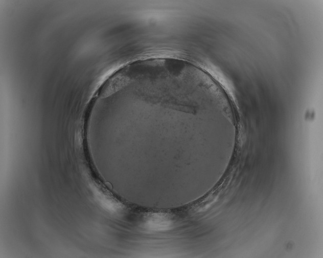 X0000094440107200711081257