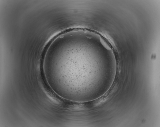 X0000094440108200711081257