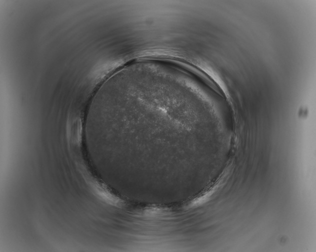 X0000094440109200711081257