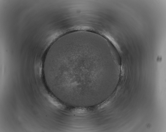 X0000094440110200711081257