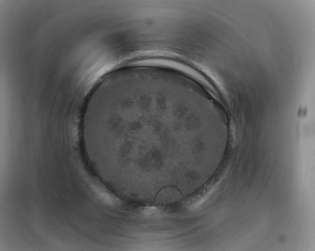 X0000094440111200711081257
