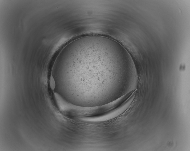 X0000094440112200711081257