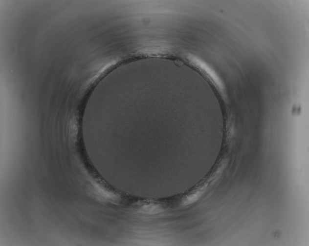 X0000094440113200711081257