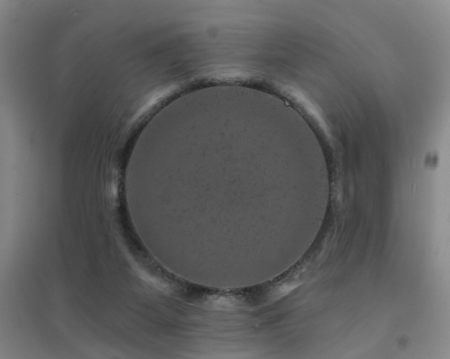 X0000094440115200711081257