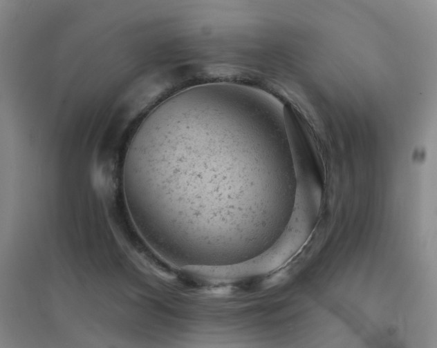 X0000094440116200711081257