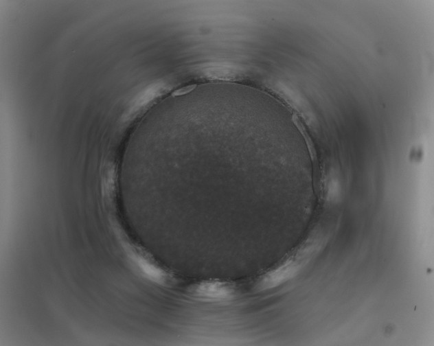 X0000094440117200711081257