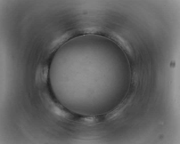 X0000094440118200711081257