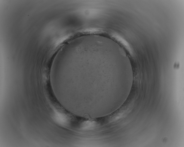 X0000094440119200711081257