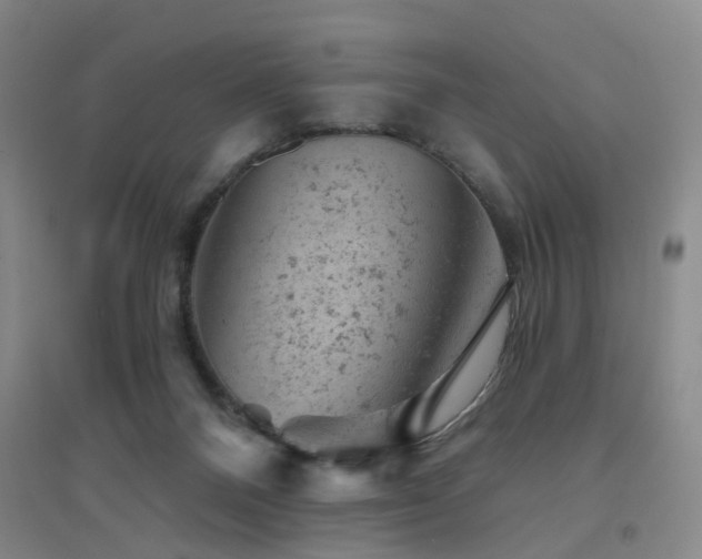 X0000094440120200711081257