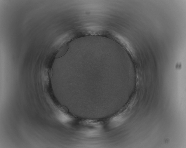 X0000094440121200711081257