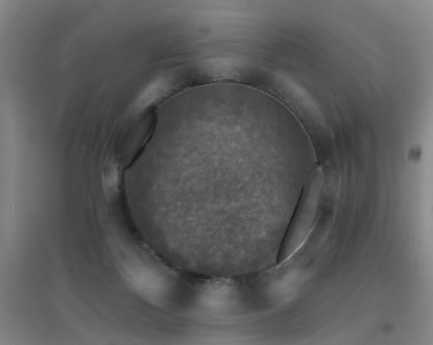 X0000094440124200711081257