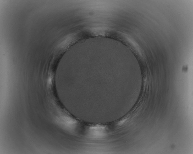 X0000094440125200711081257