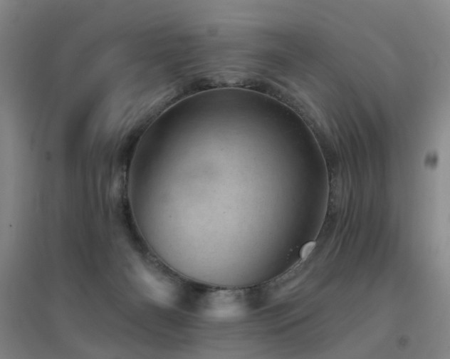 X0000094440126200711081257