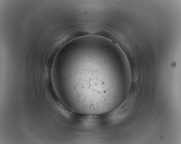 X0000094440128200711081257