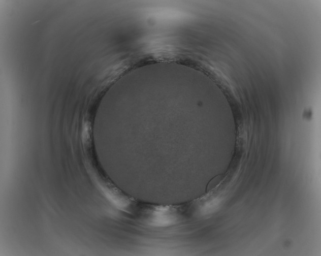 X0000094440130200711081257