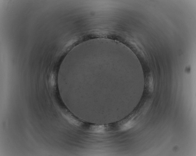 X0000094440131200711081257