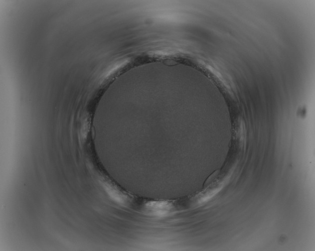 X0000094440133200711081257