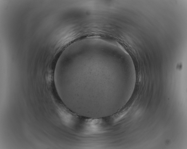 X0000094440135200711081257