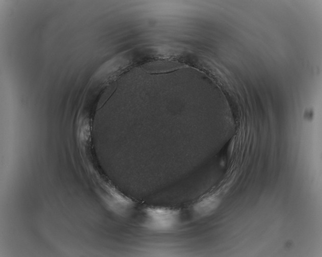 X0000094440137200711081257
