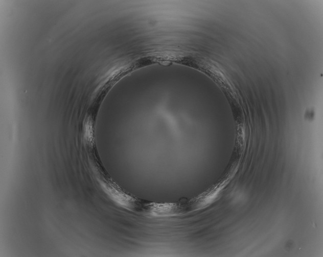 X0000094440143200711081257