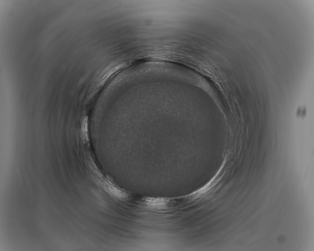 X0000094440144200711081257