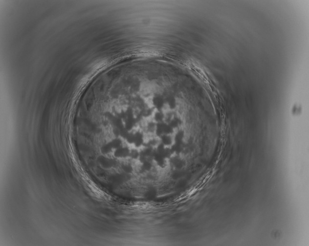 X0000094440145200711081256