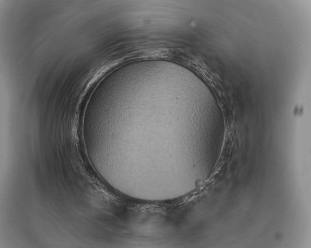X0000094440146200711081256