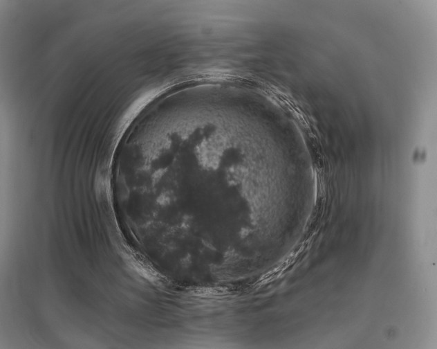 X0000094440147200711081256