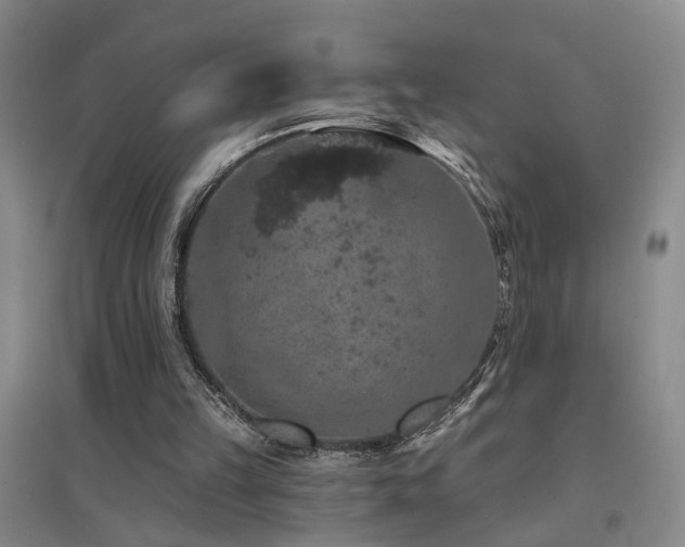X0000094440149200711081256