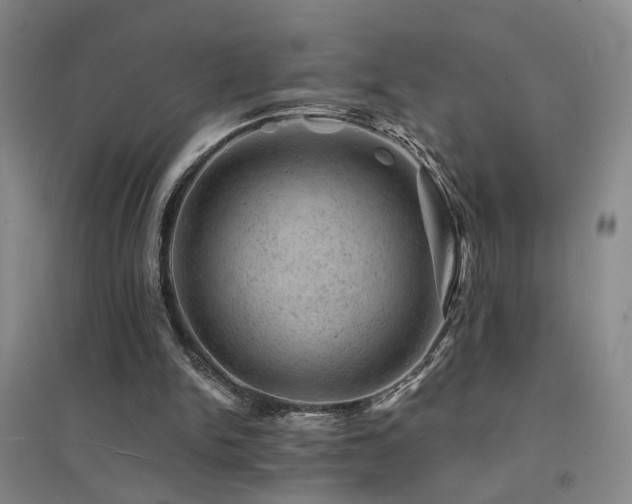 X0000094440150200711081256