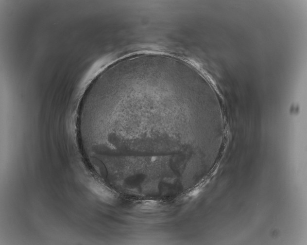 X0000094440151200711081256