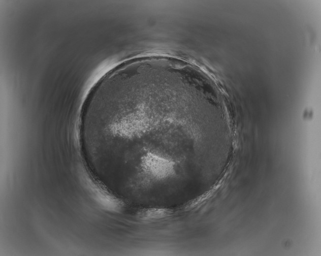 X0000094440152200711081256