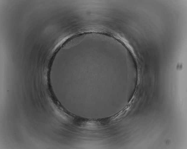 X0000094440154200711081256