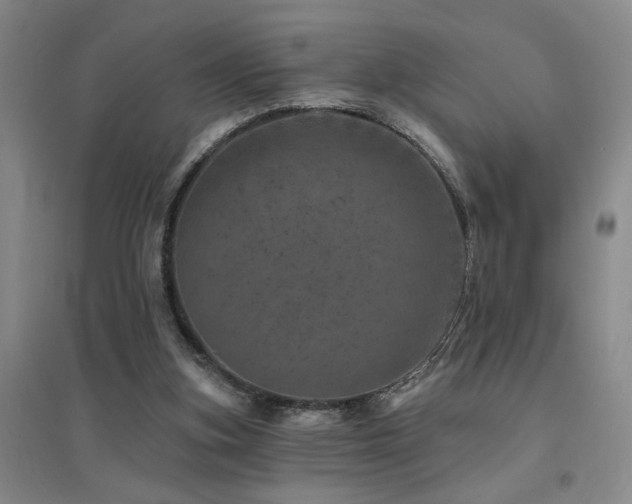 X0000094440155200711081256